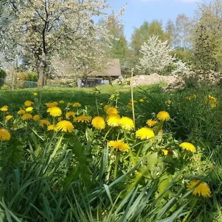 Apartment Neu! Beim Hubert