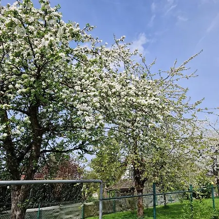 Neu! Beim Hubert Apartment Waldbrol