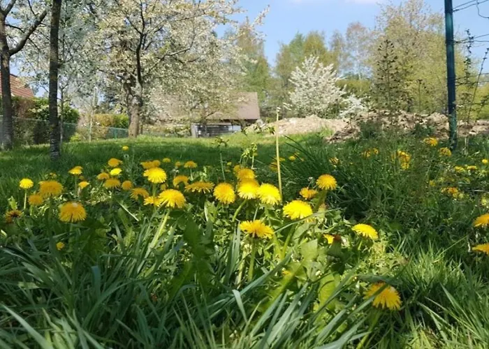 公寓 Neu! Beim Hubert