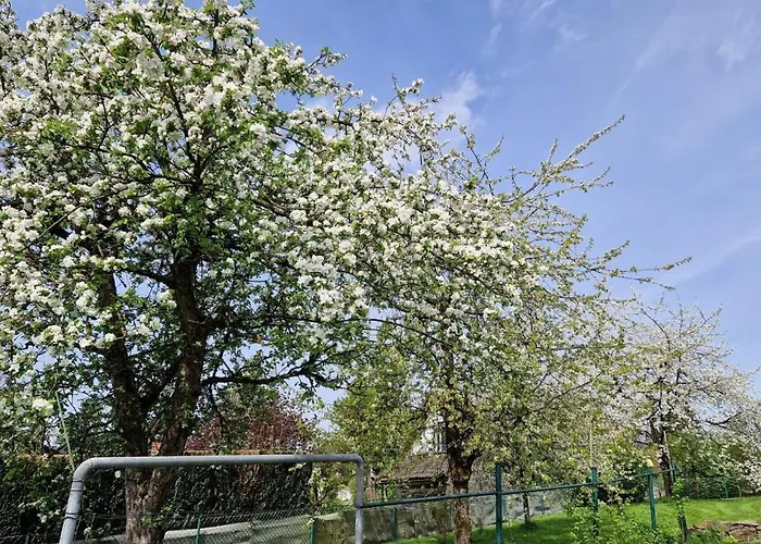 Neu! Beim Hubert 公寓 瓦尔德布勒尔